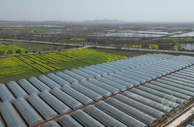 赤壁企業(yè)數(shù)字化轉(zhuǎn)型 高端網(wǎng)站建設(shè)引領(lǐng)產(chǎn)業(yè)升級(jí)